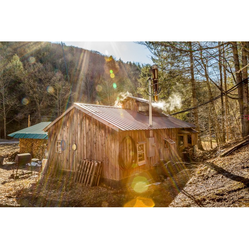 🍁 - Tree Juice Candy Cane Maple Syrup™, Local Farm