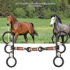 Horse Chew Black Stainless Steel Training Bit Copper Wire Wrapped