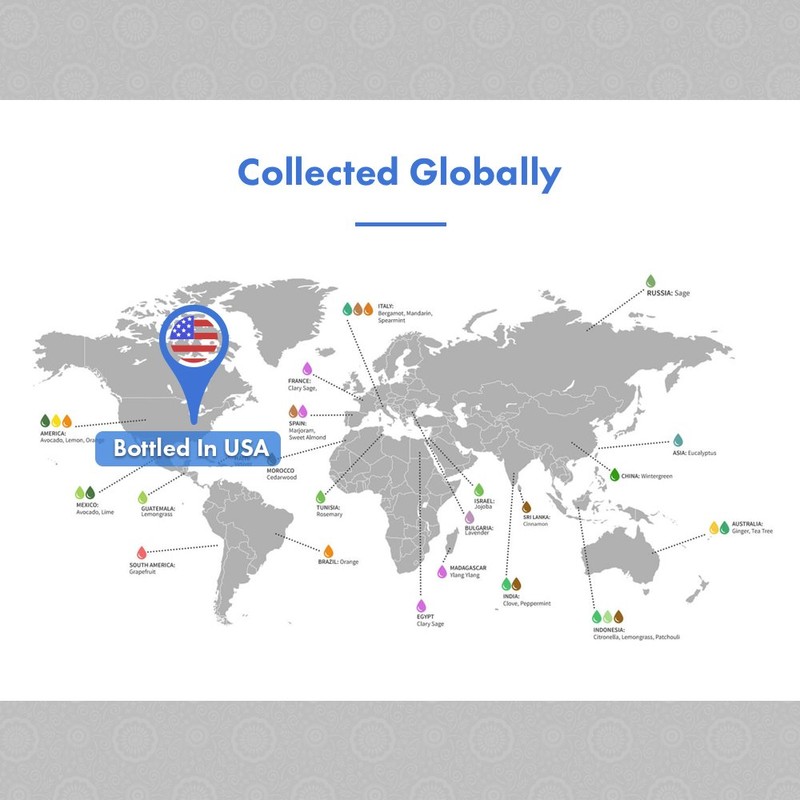 Ellia Essential Oil Roll-On | Be Centered Blend| 10ml, 100%