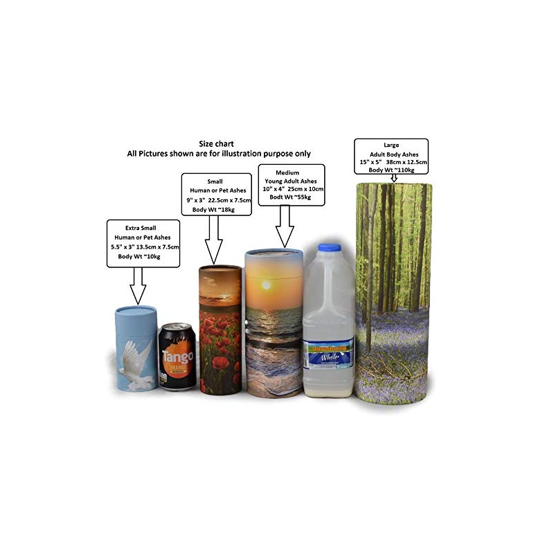 Scattering Ashes Urn, Eco-friendly Biodegradable Cremation Urn Scatter Tube (Flying