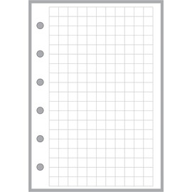 Pocket-Plus Size Graph Paper Refill, Sized and Punched for Pocket-Plus Size Notebook (3.5" x 5")