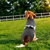 SAWMONG Zipper Recovery Suit for Dogs, Breathable Cotton Dog Surgery