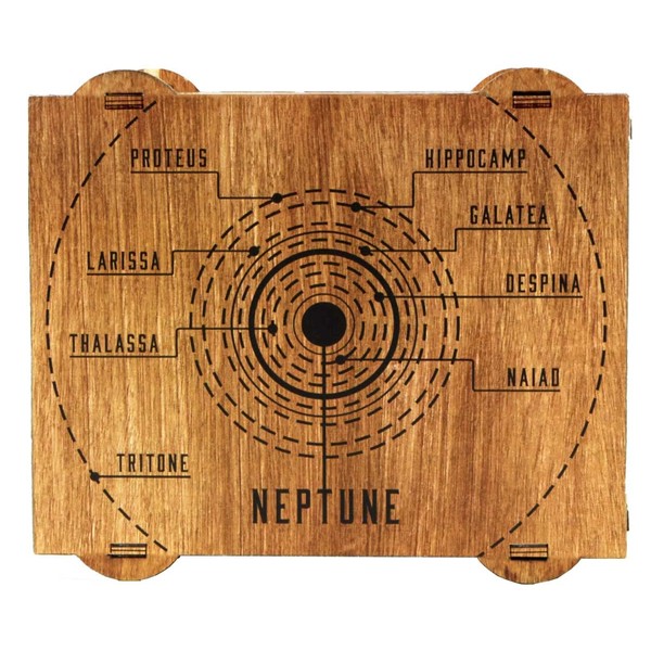 Logica Puzzles art. Neptune - Brain Teaser in Wood -