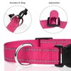 TagME Dog Collar, Adjustable Reflective Nylon Dog Collar with Quick