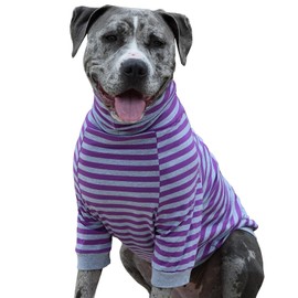 Tooth & Honey Big Dog/Stripe Shirt/Pullover/Full Belly Coverage/for Big Dogs/Pitbull Shirt/Purple and Grey (Extra Large)