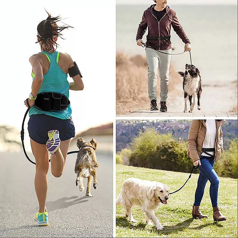 Hands Free Dog Running Lead with Wide Back Support Belt,