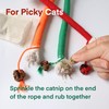 Yomvwavo Kitten Toys, Cat Chew Toy for Indoor Cats, Catnip