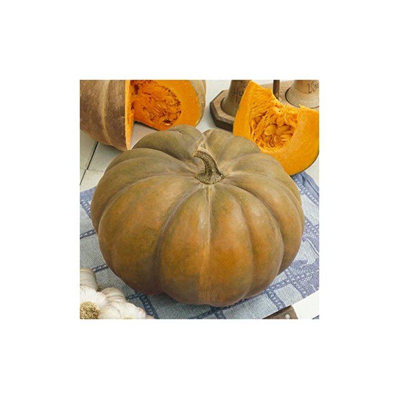 Everwilde Farms - 1 Oz Musquee de Provence Pumpkin Seeds