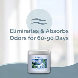 Clear Air Odor Absorber Gel - Air Freshener - Absorbs and Eliminates Odors in Bathrooms, Cars, Boats, RVs and Pet Areas - Made with Natural Essential Oils - 2 Pack (2 x 15 OZ) (Fresh & Clean)
