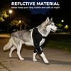 KISFLY Dog Elbow Brace for Arthritis with Gel Pack, Medium