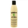 Hydratherma Naturals Moisture Boosting Deep Conditioning Treatment