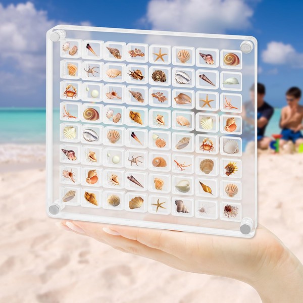 Aiyomi 64 Compartments Acrylic Magnetic Seashell Display Box, Shell Storage