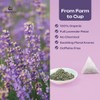 Suwirun Organic Lavender Tea 25 Bags – 100% Lavender Flowers