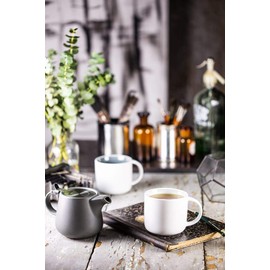 Maxwell & Williams Tint Teapot 600ML Charcoal