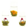 LWXLJMJZC－12 Unique Varieties Blooming Green Tea Ball | Jasmine Flowering
