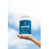 MRM Nutrition Gainer Protein with Probiotics + Postbiotics | Vanilla