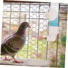 Bebedero Automático para Pájaros Comedero De Agua para Loros Dispensador