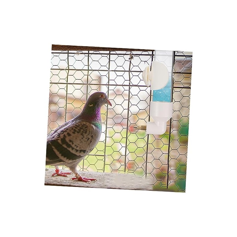 Bebedero Automático para Pájaros Comedero De Agua para Loros Dispensador