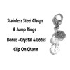 Hidden Hollow Beads Set Of 4 Clip On Charms, Bag,
