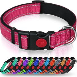 Taglory Reflective Nylon Dog Collar with Safety Buckle, Adjustable Pet Collars with Soft Neoprene Padding for Puppy Dogs, XS, Hot Pink