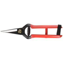 越路 打物 Buds Cutting Scissor K – 1
