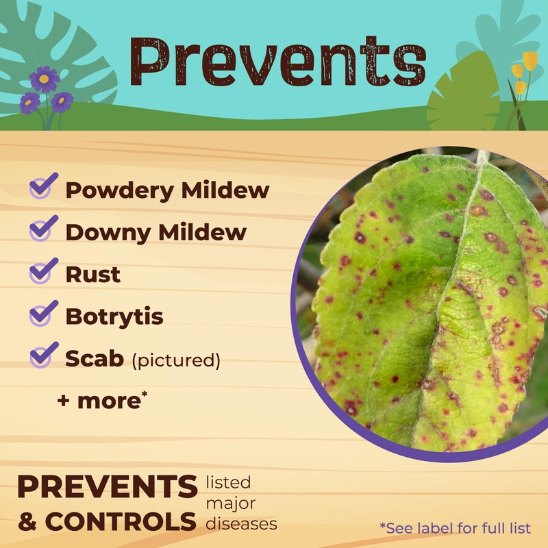 Bonide Captain Jack's Neem Max, 32 oz Ready-to-Use Spray Cold