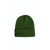 East Eagle Beanie hat, light green