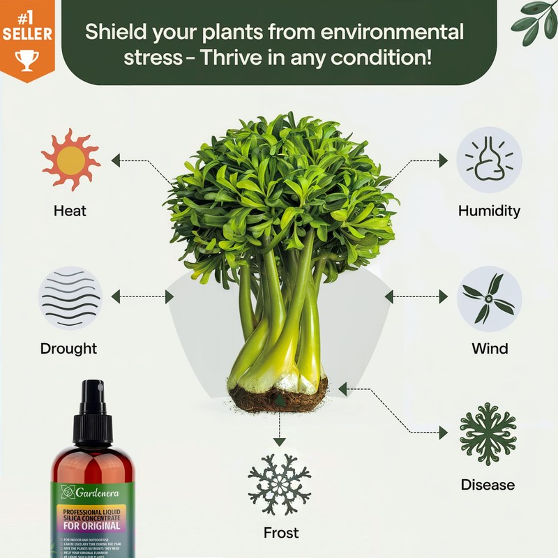 𝐏𝐑𝐎𝐅𝐄𝐒𝐒𝐈𝐎𝐍𝐀𝐋 Liquid Silica Plant Supplement - 32oz - OLIVE TREE