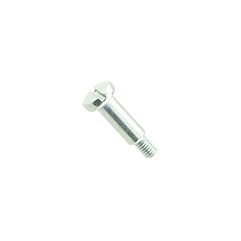 Slotted Pan Head Screws and Root or Free Engraving DIN