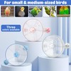 BNOSDM Bird Foraging Toy Creative Feeder Systems with Seed Food