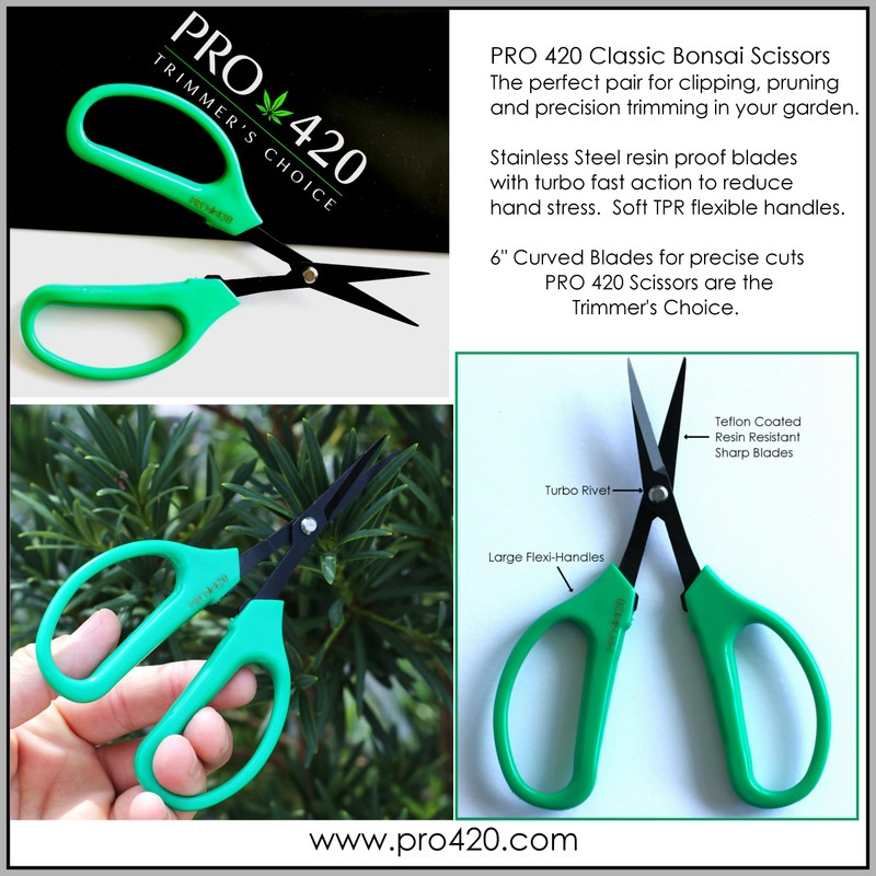 PRO 420 Classic Scissors