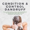 Avalon Organics Anti-Dandruff Itch & Flake Conditioner, 14 Ounce