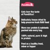 PureBites Freeze Dried Salmon Cat Treats 11g | 1 Ingredient