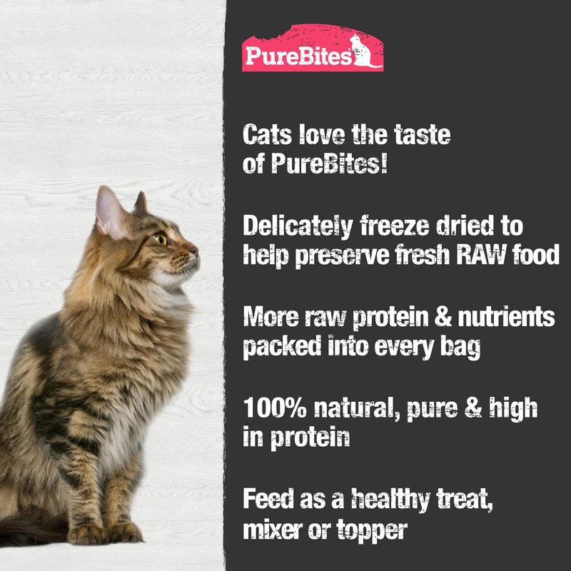 PureBites Freeze Dried Salmon Cat Treats 11g | 1 Ingredient