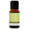 ECO. Modern Essentials Bergamot Pure Essential Oil, 10ml