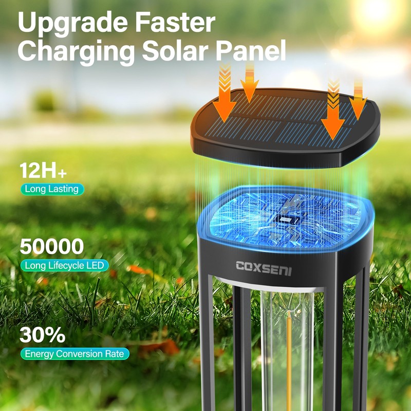 COXSENI Solar Path Lights Outdoor 8 Pack, Bright Solar Pathway