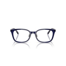 [レイバン] サングラス 0RX5407D TRANSPARENT DARK BLU 52