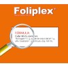 HOLLAND Shampoo Foliplex, Estimulante y Regenerador Anticaída.
