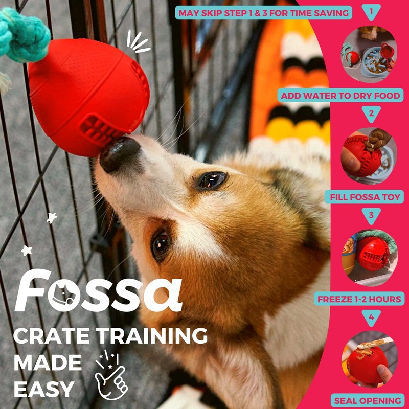 Fossa Interactive Dog Toys, Crate Training Aids for Puppies, Puzzle