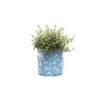 Beatrix Potter - Blue 9 Litres