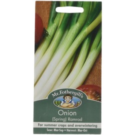 Mr Fothergill's 21423 Vegetable Seeds, Onion (Spring) Ramrod