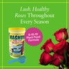 Grow More Magnum Rose Fertilizer (8-10-10) - 1.5lbs of USA-Made
