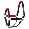 Perri's Horse Soft Padded Leather Halter, Black/Red