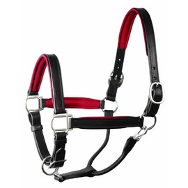 Perri's Horse Soft Padded Leather Halter, Black/Red