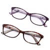 EYEGUARD 2 Pairs Reading Glasses for Women Ultra Clear Spring