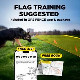 Dogtra Training Flags for GPS Fence – 50-Pack Neon Orange Boundary Markers – Flexible, Weather-Resistant Yard Flags for Invisible Fence Training, Pet Containment, and Safe Outdoor Dog Fence Setup