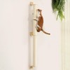 FUKUMARU Cat Wall Scratcher, 60" Tall Wall Mounted Kitten Scratching