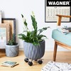 WAGNER Pflanzenroller CHROME Ø 23 x 6,5 cm I Pflanzenroller