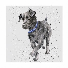 Wrendale Designs - 'Porridge' Card