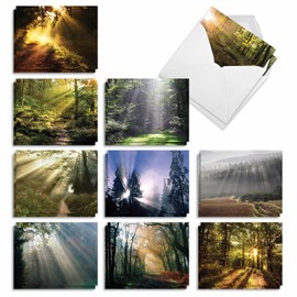 The Best Card Company - 20 Landscape Nature Note Cards Blank (4 x 5.12 Inch) (10 Designs, 2 Each) - Shining Through AM1735OCB-B2x10-NB